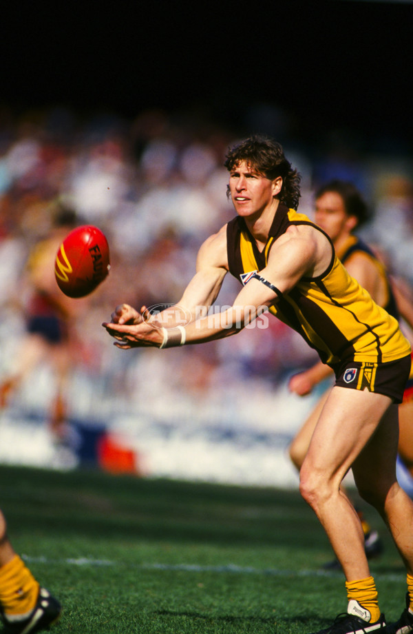 AFL 1993 1st Elimination Final - Hawthorn v Adelaide - 23342