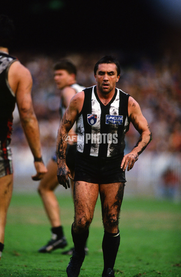 AFL 1993 - Collingwood Magpies - 29991