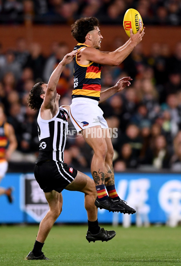 AFL 2023 Round 03 - Port Adelaide v Adelaide - A-16637025