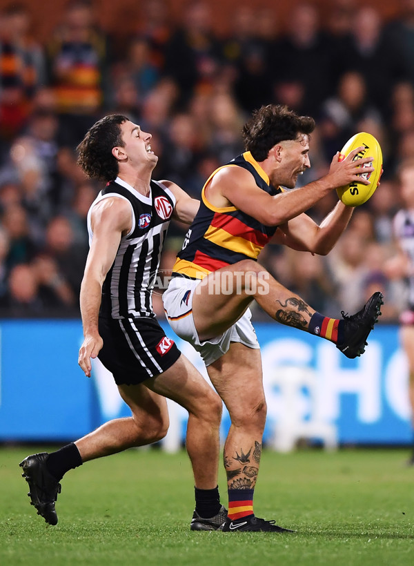 AFL 2023 Round 03 - Port Adelaide v Adelaide - A-16637027