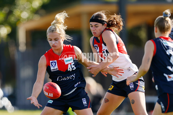 VFLW 2023 Round 02 - Casey v Darebin - A-16644041