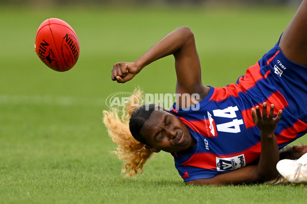 VFLW 2023 Round 03 - Williamstown v Port Melbourne - A-17144605
