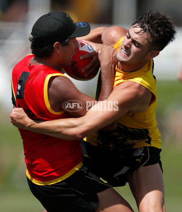 AFL 2020 Training - Tigers on the Gold Coast - 729817