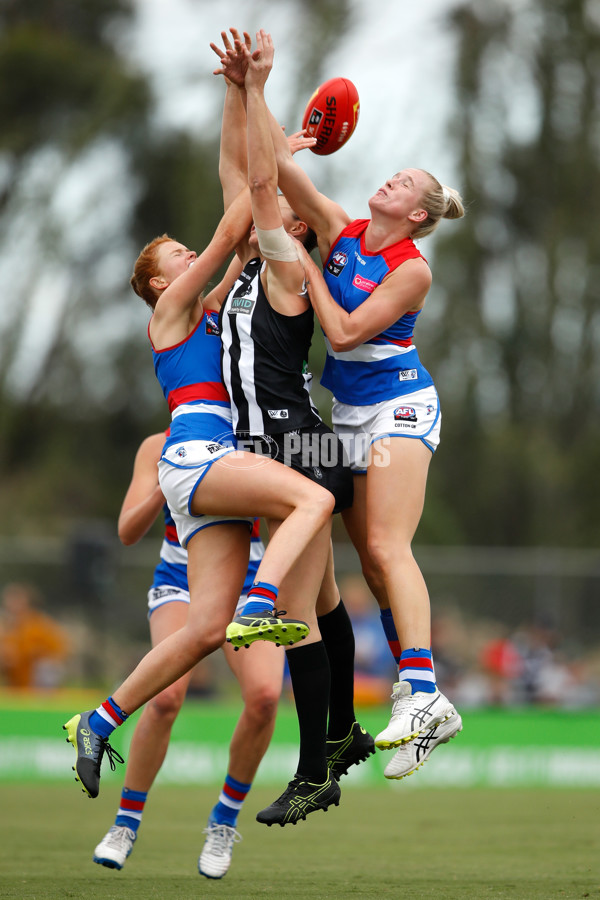 AFLW 2020 Round 05 - Collingwood v Western Bulldogs - 740473