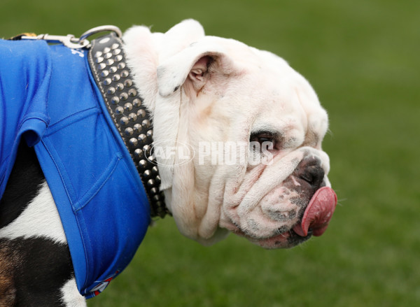 AFLW 2021 Round 05 - Western Bulldogs v GWS - 809892