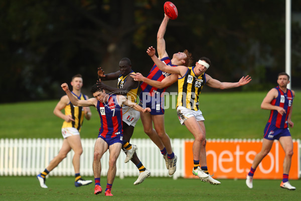 VFL Round 02 - Port Melbourne v Sandringham - 838141