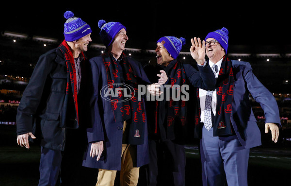AFL 2022 Round 13 - Essendon v Carlton - 959196