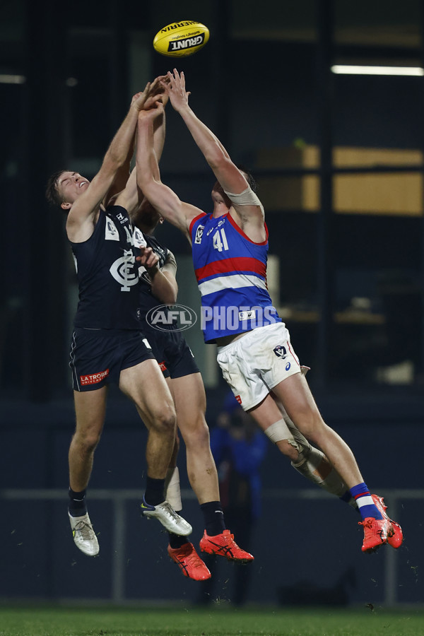 VFL 2022 Round 13 - Carlton v Footscray - 962558
