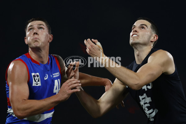 VFL 2022 Round 13 - Carlton v Footscray - 962599