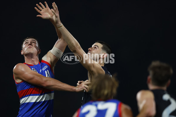VFL 2022 Round 13 - Carlton v Footscray - 962615