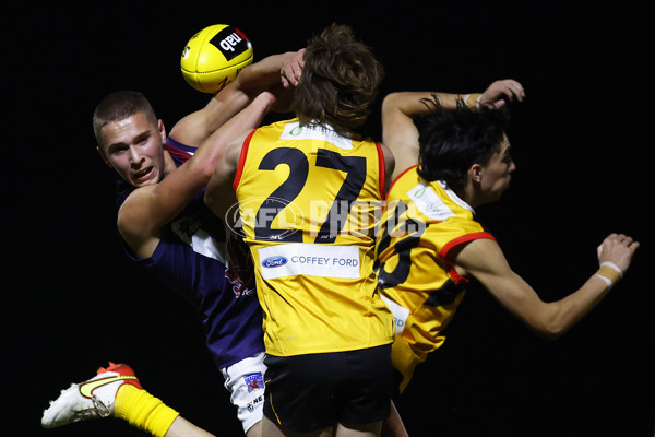NAB League Boys 2022 - Dandenong v Sandringham - 953264