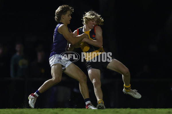 NAB League Boys 2022 - Dandenong v Sandringham - 953430
