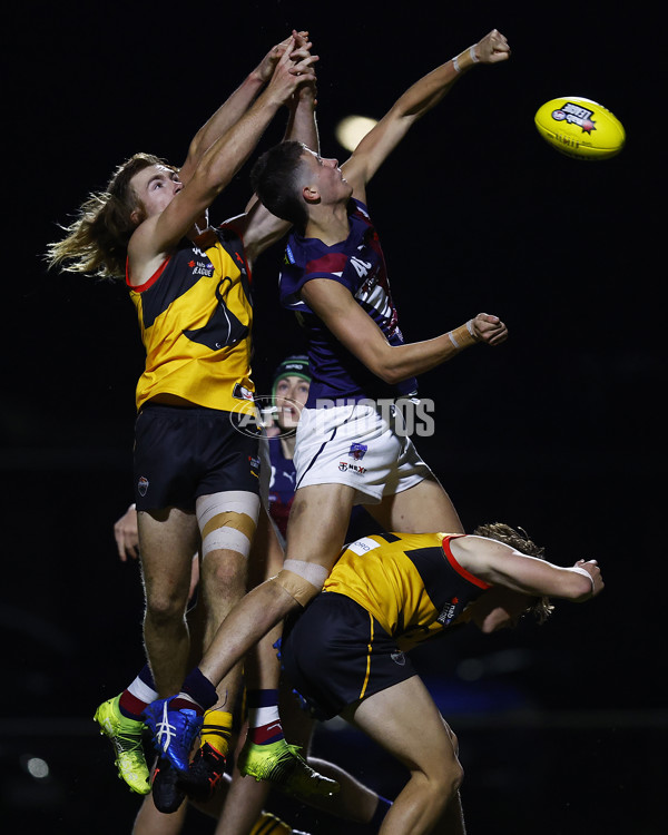 NAB League Boys 2022 - Dandenong v Sandringham - 953435