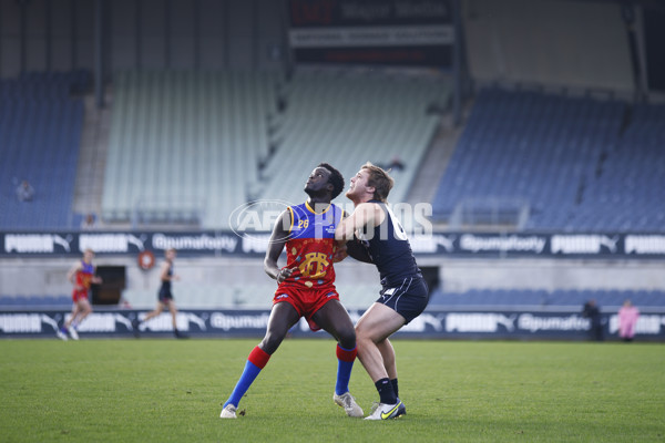 VFL 2022 Media - Fitzroy Cubs v Carlton - 948206