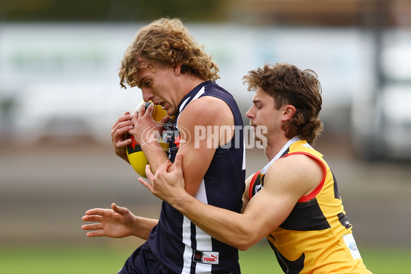 NAB League Boys 2022 - Geelong v Dandenong - 942751