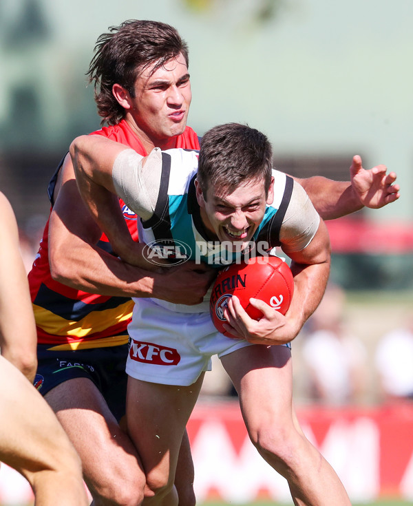 AFL 2022 AAMI Community Series - Adelaide v Port Adelaide - 915482
