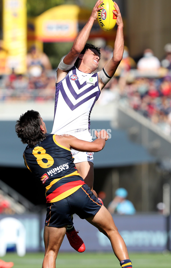 AFL 2022 Round 01 - Adelaide v Fremantle - 922447