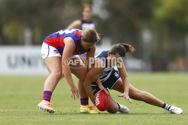 VFLW 2022 Round 03 - Geelong v Port Melbourne - 912772