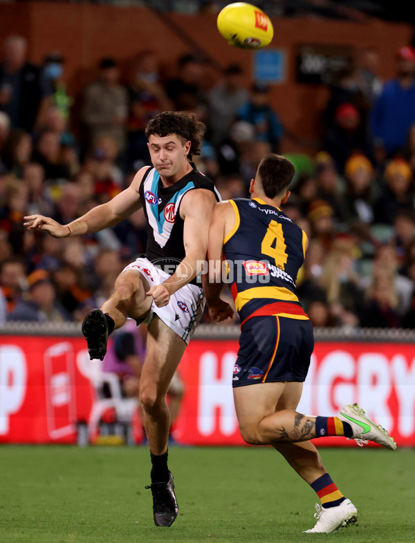 AFL 2022 Round 03 - Adelaide v Port Adelaide - 928036