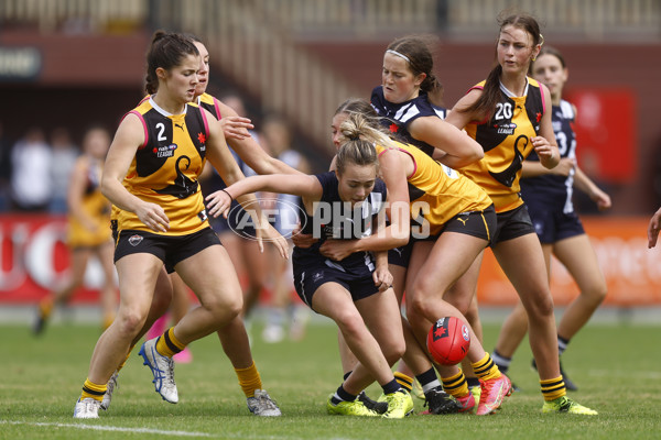 NAB League Girls 2022 Semi Final - Dandenong v Geelong - 928870
