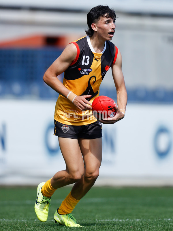 NAB League Boys 2022 Round 02 - Dandenong v Brisbane - 933223