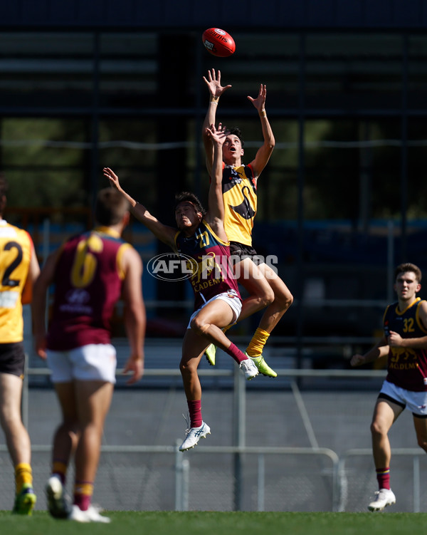 NAB League Boys 2022 Round 02 - Dandenong v Brisbane - 933297