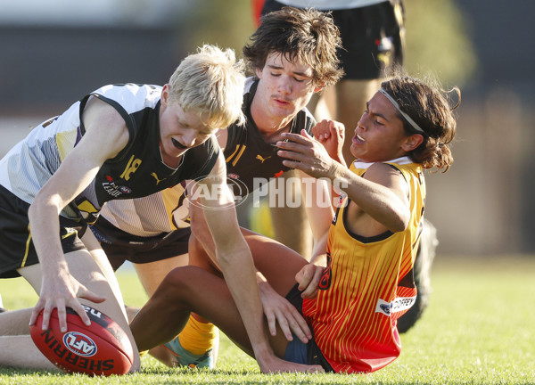 NAB League Boys 2022 - Murray Futures v Dandenong Futures - 935587
