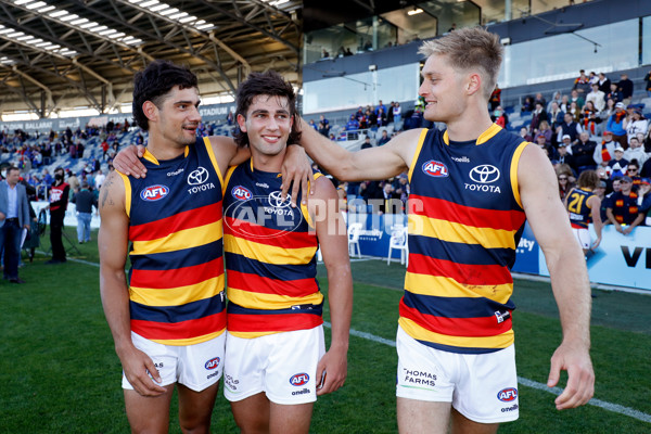 AFL 2022 Round 06 - Western Bulldogs v Adelaide - 938315