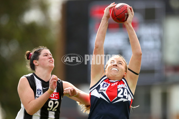 VFLW 2022 Round 10 - Darebin v Collingwood - 941287