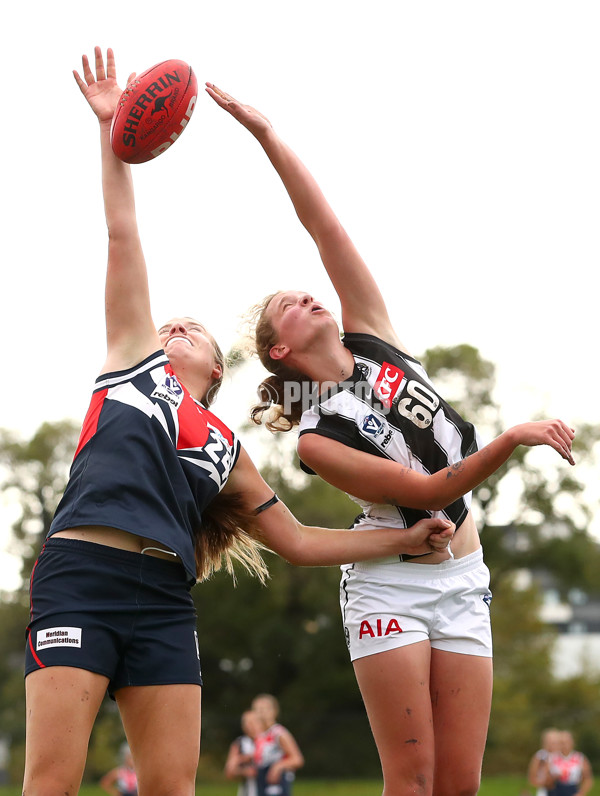 VFLW 2022 Round 10 - Darebin v Collingwood - 941372
