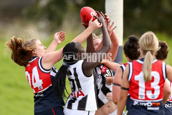 VFLW 2022 Round 10 - Darebin v Collingwood - 941387