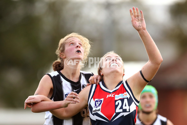 VFLW 2022 Round 10 - Darebin v Collingwood - 941384
