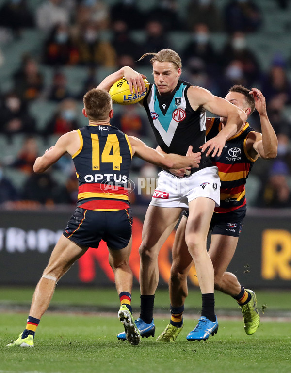 AFL 2021 Round 21 - Adelaide v Port Adelaide - 879873