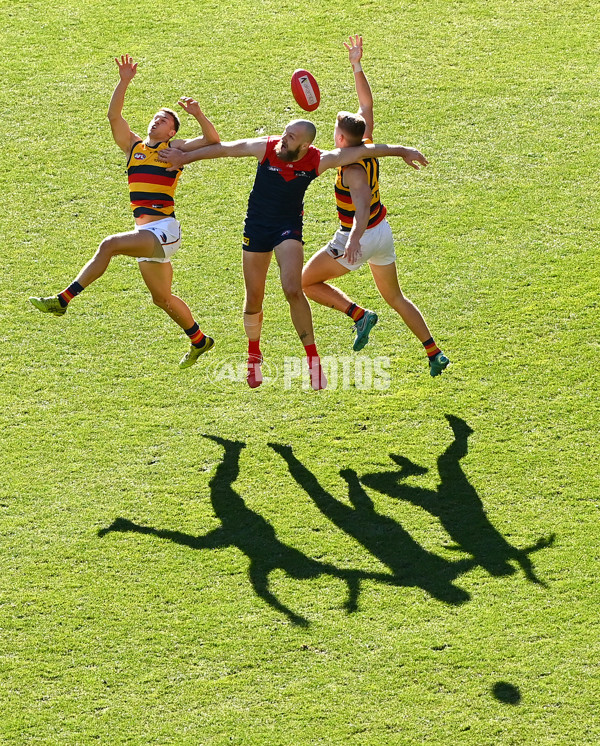 AFL 2021 Round 22 - Melbourne v Adelaide - 882553