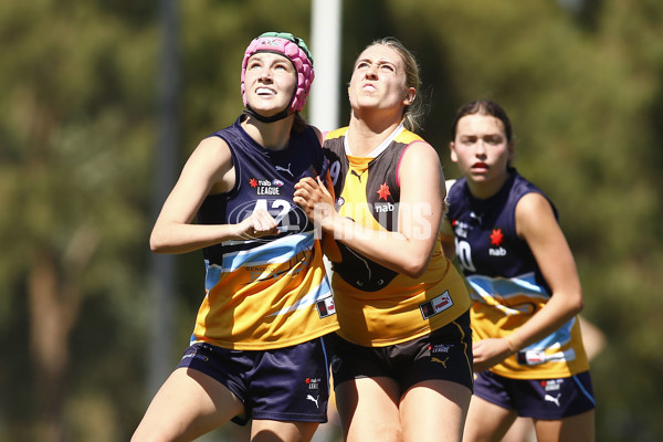 NAB League Girls 2022 - Dandenong Stingrays v Bendigo Pioneers - 906539
