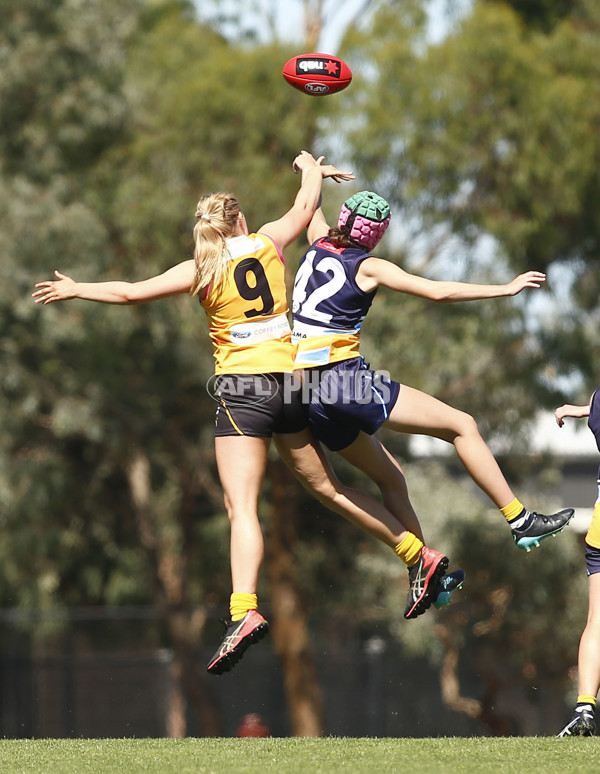 NAB League Girls 2022 - Dandenong Stingrays v Bendigo Pioneers - 906516