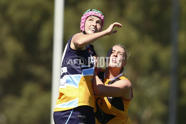 NAB League Girls 2022 - Dandenong Stingrays v Bendigo Pioneers - 906540