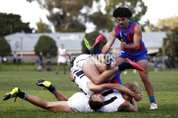 NAB League Boys 2021 - Oakleigh v Northern Knights - 860562