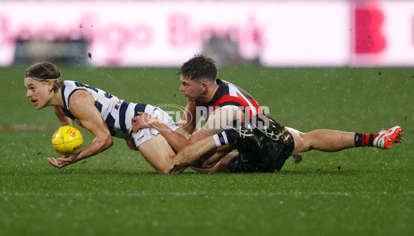 VFL Round 12 - Geelong v Essendon - 865474