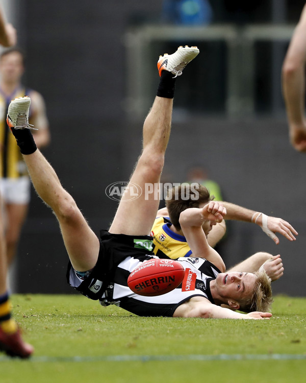 VFL Round 12 - Collingwood v Sandringham - 866920