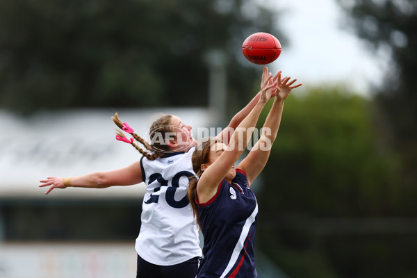 2022 Herald Sun Shield - Division 2 Grand Finals - 1004239