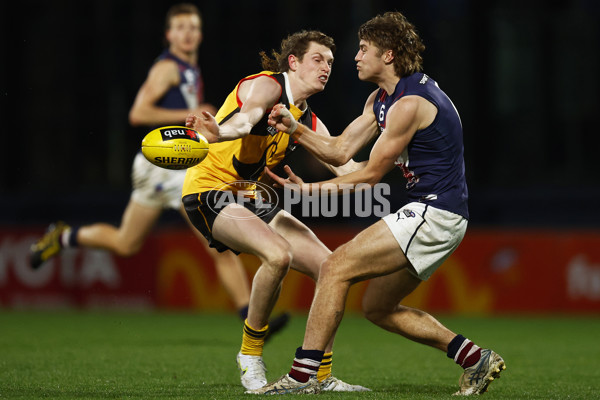NAB League Boys 2022 Grand Final - Dandenong v Sandringham - 1007261