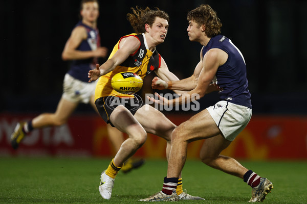 NAB League Boys 2022 Grand Final - Dandenong v Sandringham - 1007262