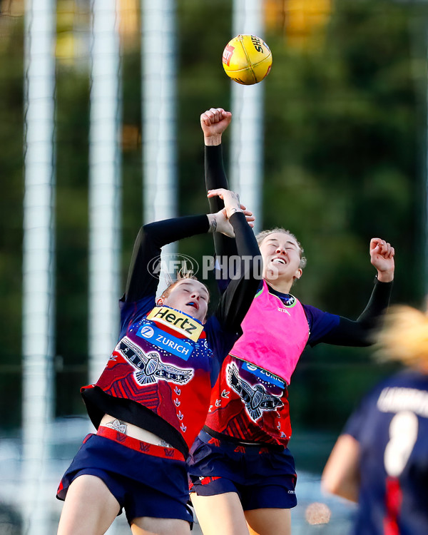 AFLW 2022 S7 Training - Melbourne 171122 - 1022804