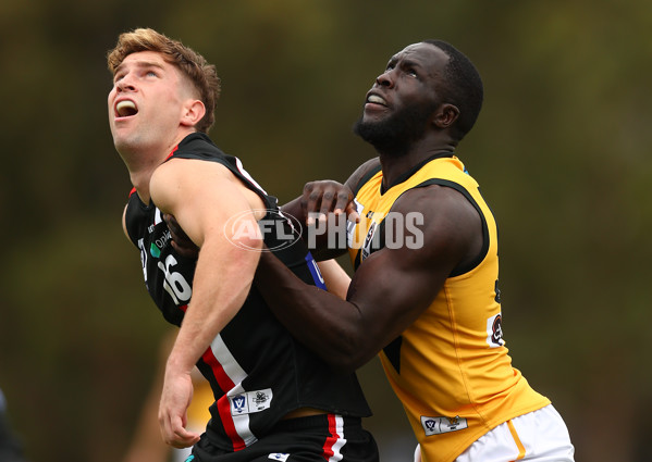 VFL 2023 Practice Match - Frankston v Werribee - A-23093074