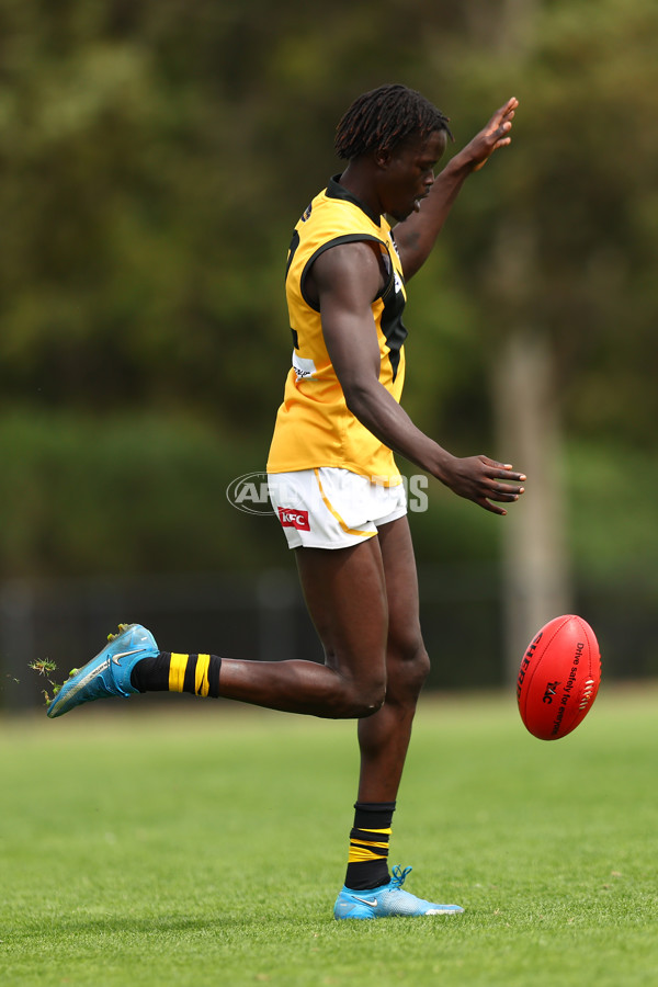 VFL 2023 Practice Match - Frankston v Werribee - A-23093135
