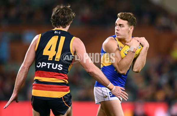 AFL 2021 Round 18 - Adelaide v West Coast - 872964