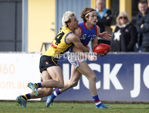 VFL 2022 Round 16 - Sandringham v Footscray - 973648