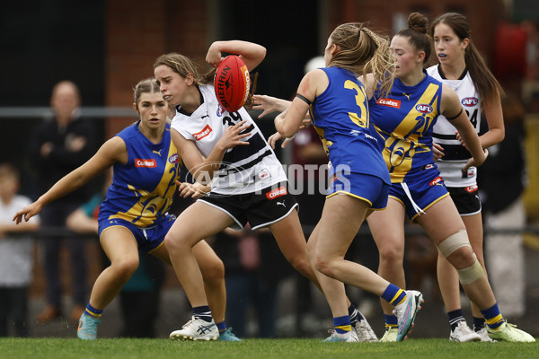 Coates Talent League Girls 2023 - Northern Knights v Western Jets - A-23586528