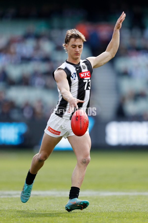 VFL 2022 Round 22 - Carlton v Collingwood - 996500